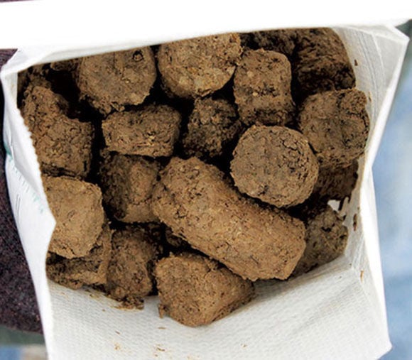 cores for each soil sample